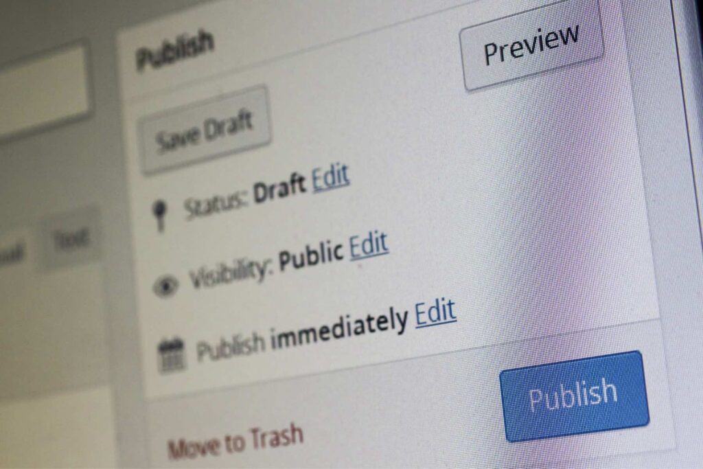Close-up of a computer screen displaying blog publishing options on the studio anansi website design platform, with a 'publish' button highlighted.