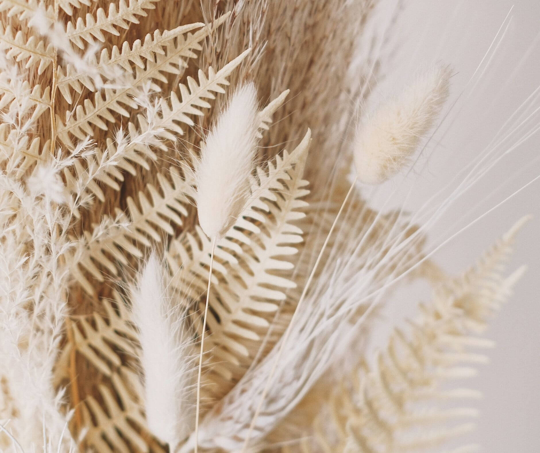 Close-up of a dried floral arrangement featuring pampas grass and fern leaves, curated by Studio Anansi.